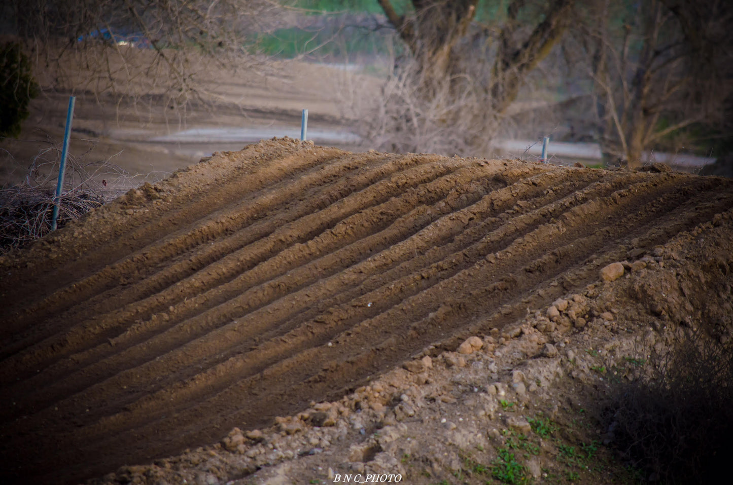 FlowVision® Rythem/Section™ Motocross Lens: Yellow Clear